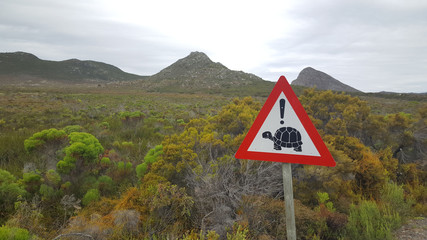 A sign be aware of turtles