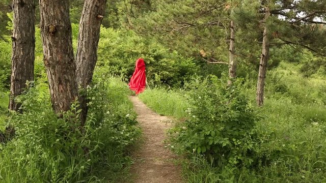 Little Red riding Hood in the forest