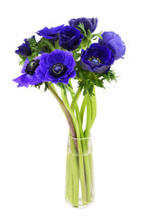 Bouquet of blue anemome flowers in a glass vase