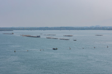 Oyster Farm of Pak Nam Community, Chanthaburi, Thailand