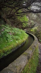 Madère, la levada de 25 fontes à flance de coteau