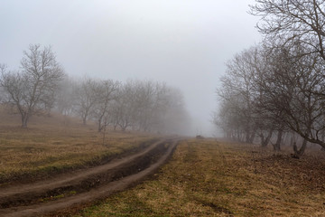 Dark foggy autumn countriside view with road in morning