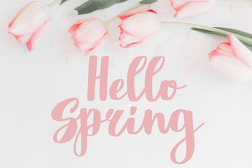 Hello spring. Hello spring text on pink tulips border on white background, floral greeting card....