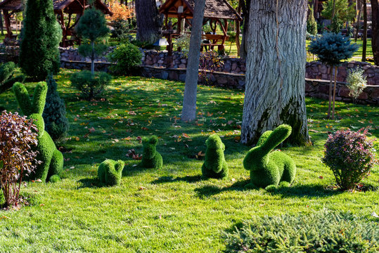 Green animal topiary of boxwood in sunny park close