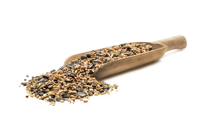 Mixed bird seeds on a large wood scoop seen obliquely from front at low level and isolated on white