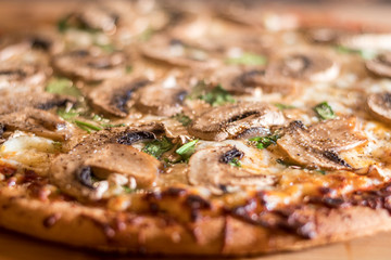 Homemade hot veggie pizza with mushrooms closeup fresh out of oven
