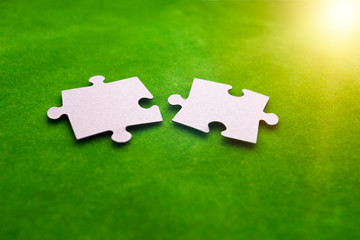 Two puzzle pieces on a green background. Interaction, connection.