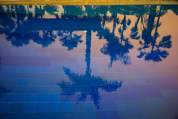 Shadow of a coconut tree on a Blue water in pool with beautiful sunlight.