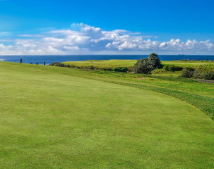 golf field on a sunny day in Sydney beach Australia