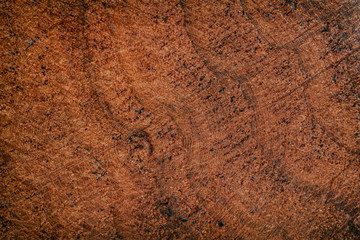 Wood rough tree texture background, surface old natural pattern
