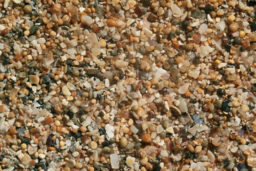 Texture of sea stones and crushed shells