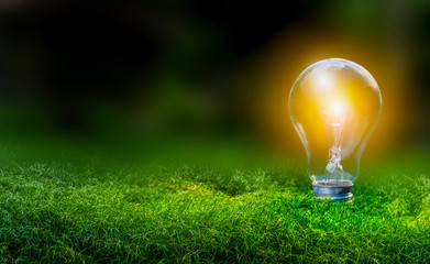 Renewable energy concept Earth Day or environment protection Hands protect forests that grow on the ground and help save the world.