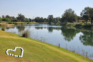 The jet of water watering the lawn for a game of Golf. Golf course with hills and plains, trees and a pond with water. A large field with perfectly