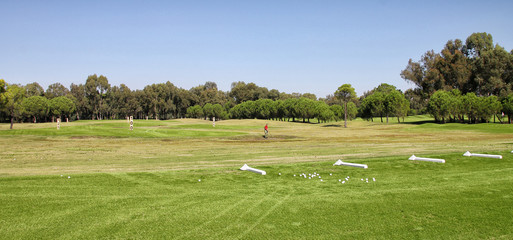 The jet of water watering the lawn for a game of Golf. Golf course with hills and plains, trees and...
