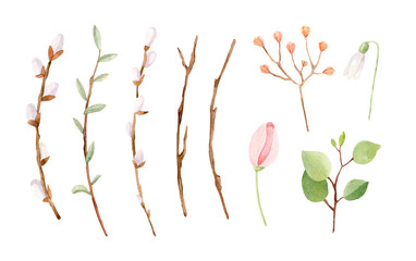 Watercolor spring illustration - willow branches