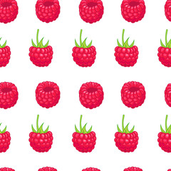 Vector pattern with summer  raspberry