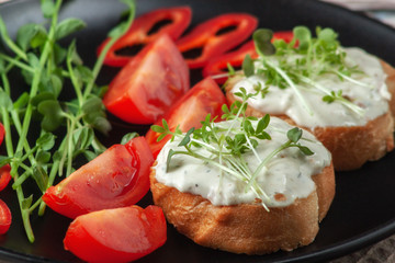 Bruschetta with cheese, salmon and micro-greens on a dish