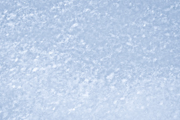 The texture of freshly fallen snow. Christmas template for design. Clearly visible individual snowflakes. Winter background.