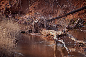 Deer Creek, Weatherford, Oklahoma