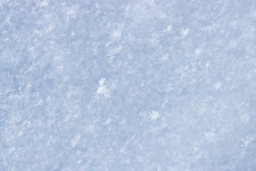 Texture of toned freshly fallen snow. Christmas template for design. Clearly visible individual snowflakes. Winter background.
