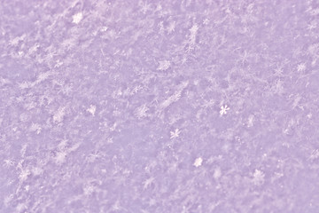 Texture of toned freshly fallen snow. Christmas template for design. Clearly visible individual snowflakes. Winter background.