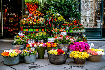 Fototapeta na wymiar Street shop with flowers. Vienna. Austria