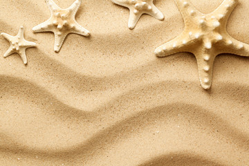 Fototapeta na wymiar Starfishes On Sand Background