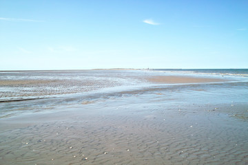 Watt