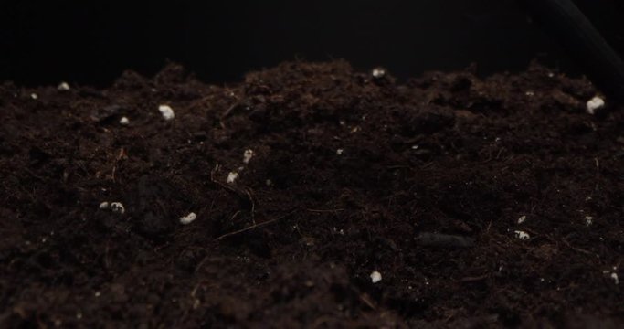 Directions over black soil that is cultivated, fluffed up with a garden rake