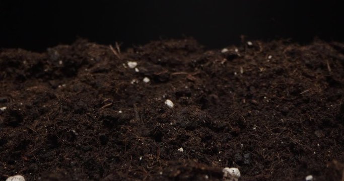 Directions over black soil that is cultivated, fluffed up with a garden rake