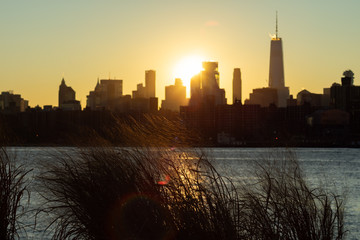 Plants on the Shore of Transmitter Park in Greenpoint Brooklyn New York along the East River with a view of the Manhattan Skyline during Sunset