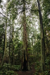 Deception pass state park in Washington State