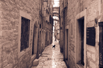 Rainy street old town Split, Croatia