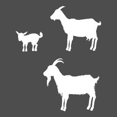 White Silhouettes of Goats.
