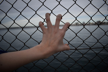 hand behind fence