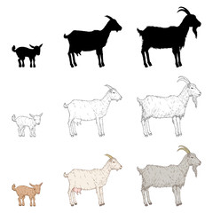 Vector Set of Goats. Silhouette, Sketch and Cartoon Illustrations.