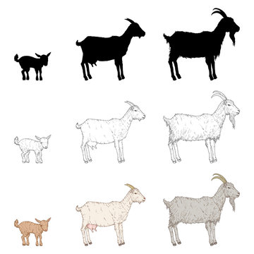 Free Free 281 Silhouette Baby Goat Svg SVG PNG EPS DXF File