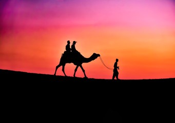 silhouette of a rider on horse