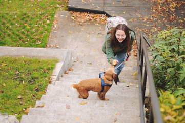 Woman with american cocker spaniel walks at autumn park.