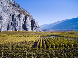 SION, SWITZERLAND - OCTOBER 30, 2016: The landscape of Wallis valey around Sion with wineyards and...