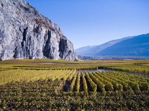 SION, SWITZERLAND - OCTOBER 30, 2016: The landscape of Wallis valey around Sion with wineyards and a cliff.