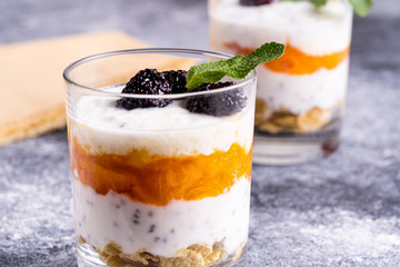 Homemade yogurt with persimmon jam, granola and chia grains in glasses on gray background. Healthy breakfast concept.