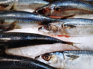 Close-up Frozen Saba Mackerel Fish for Sale at Supermarket