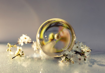 Spring still life with a glass ball and a flowering tree