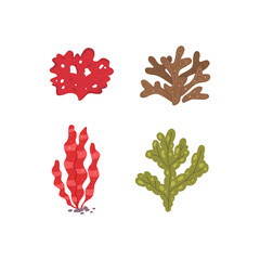 Vector seaweed icons isolated on whire. Sea coral and underwater marine plants.