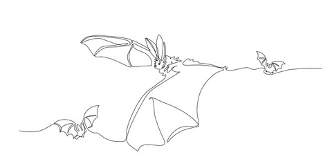 flying long-eared bats, bloodsucker, symbol of vampire, midnight & halloween holiday, vector illustration with black contour single line isolated on white background  in cartoon and hand drawn style
