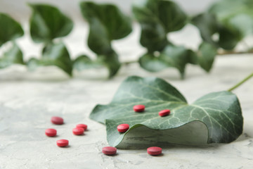 A leaf of ivy and pills on a light concrete table. Production of cough medicine with ivy extract....
