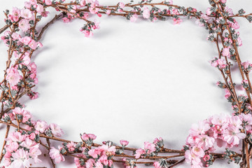 frame and flowers on a branch of wild plum on a white table