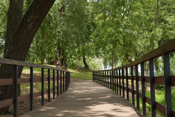 Wooden bridge in the park. Landscape on a spring sunny day