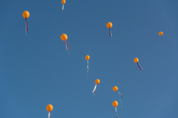 Balloons of various colors were released into the sky to celebrate graduation.
